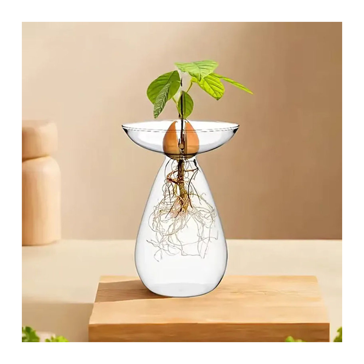 JETTING Avocado-Hydrokultur-Vase aus Glas, bunte transparente Anzuchtvase für Pflanzensamen und Dekoration - Bild 1