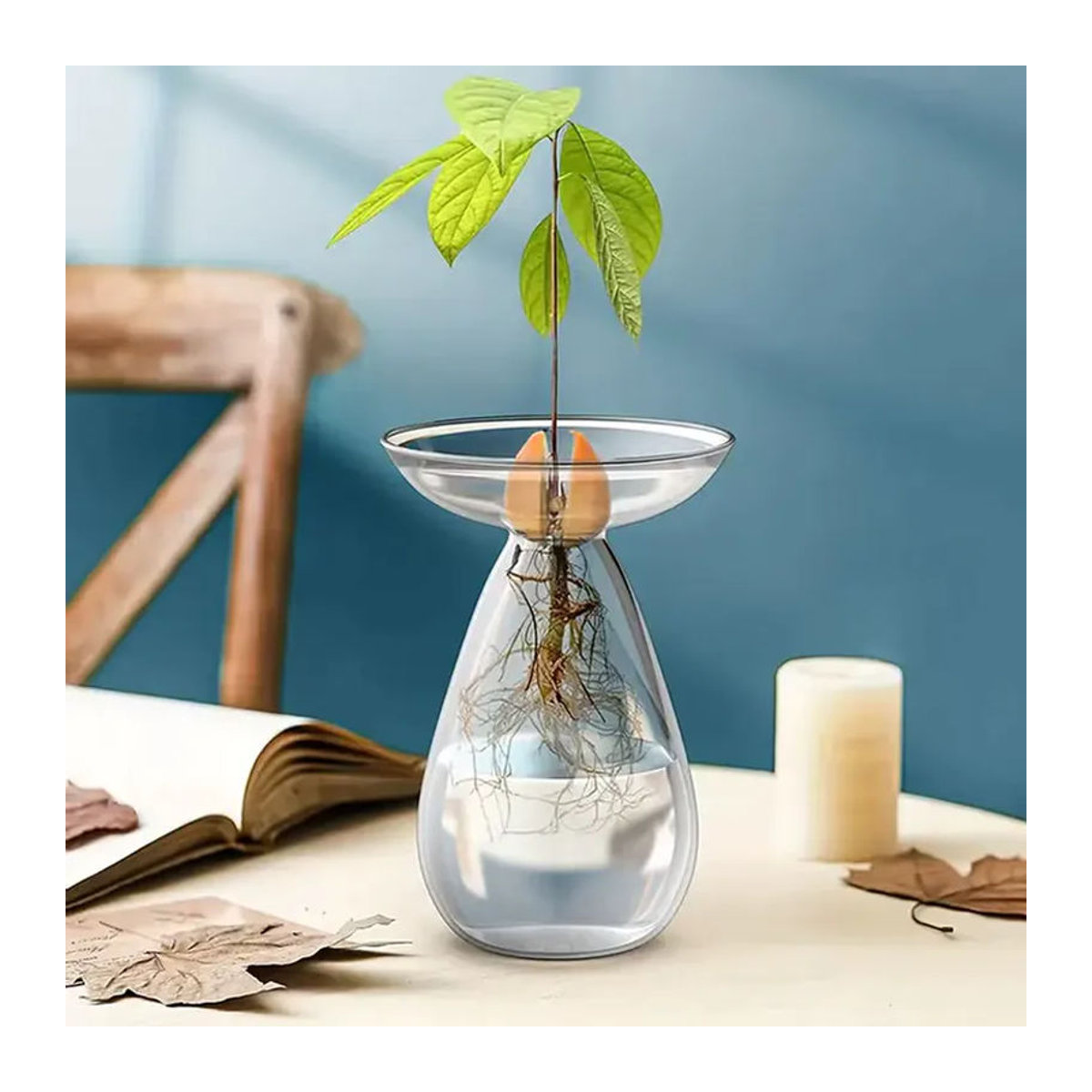 JETTING Avocado-Hydrokultur-Vase aus Glas, bunte transparente Anzuchtvase für Pflanzensamen und Dekoration - Bild 3