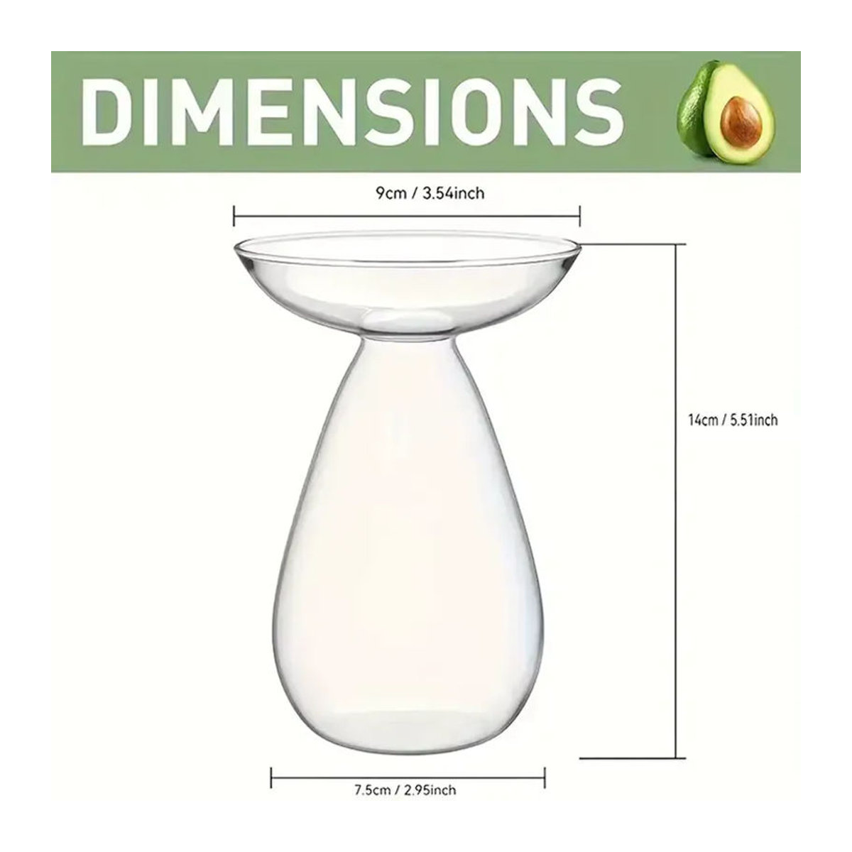 JETTING Avocado-Hydrokultur-Vase aus Glas, bunte transparente Anzuchtvase für Pflanzensamen und Dekoration - Bild 4