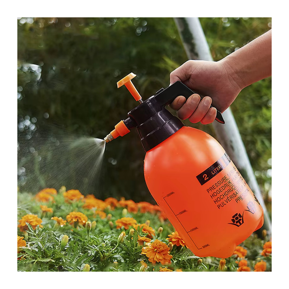 JETTING Drucksprüher für Garten und Rasenpflege in 2L und 3L Varianten - Bild 1