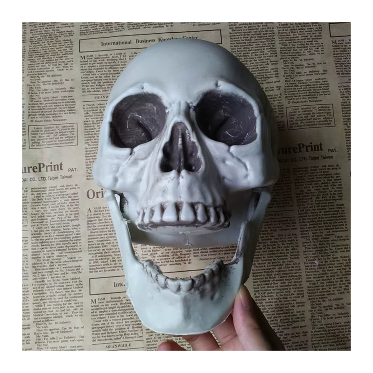 JETTING Halloween Totenkopf aus Kunststoff, weißes Skelett-Ornament für Grusel-Dekoration - Bild 2
