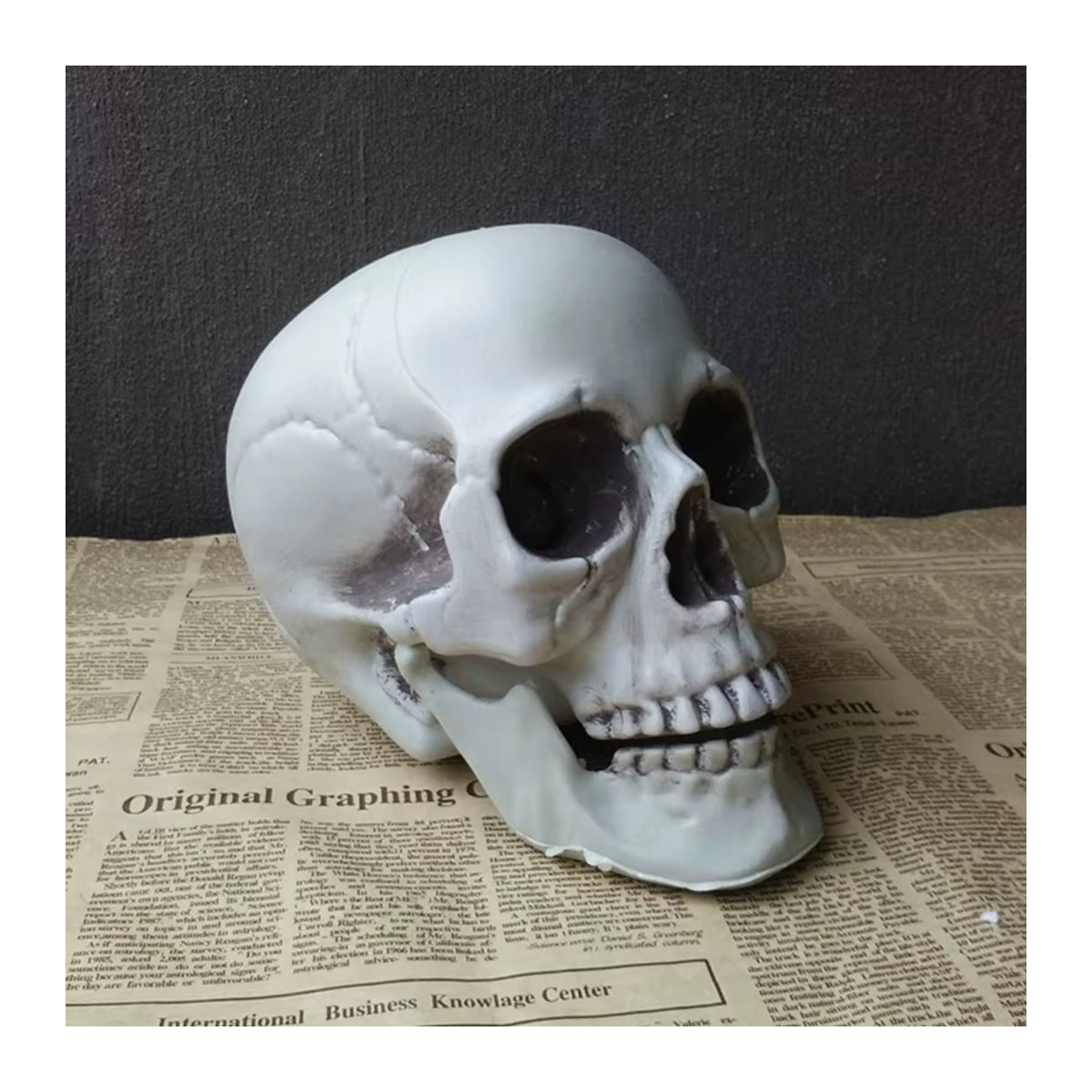 JETTING Halloween Totenkopf aus Kunststoff, weißes Skelett-Ornament für Grusel-Dekoration - Bild 5