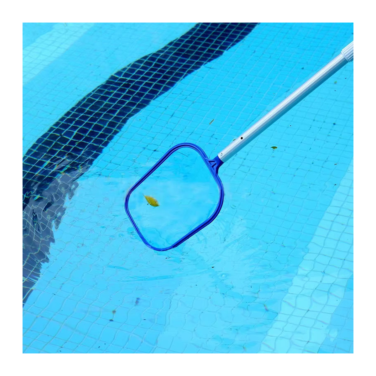 JETTING Schwimmbad-Reinigungsnetz für Blätter in Blau - Bild 3