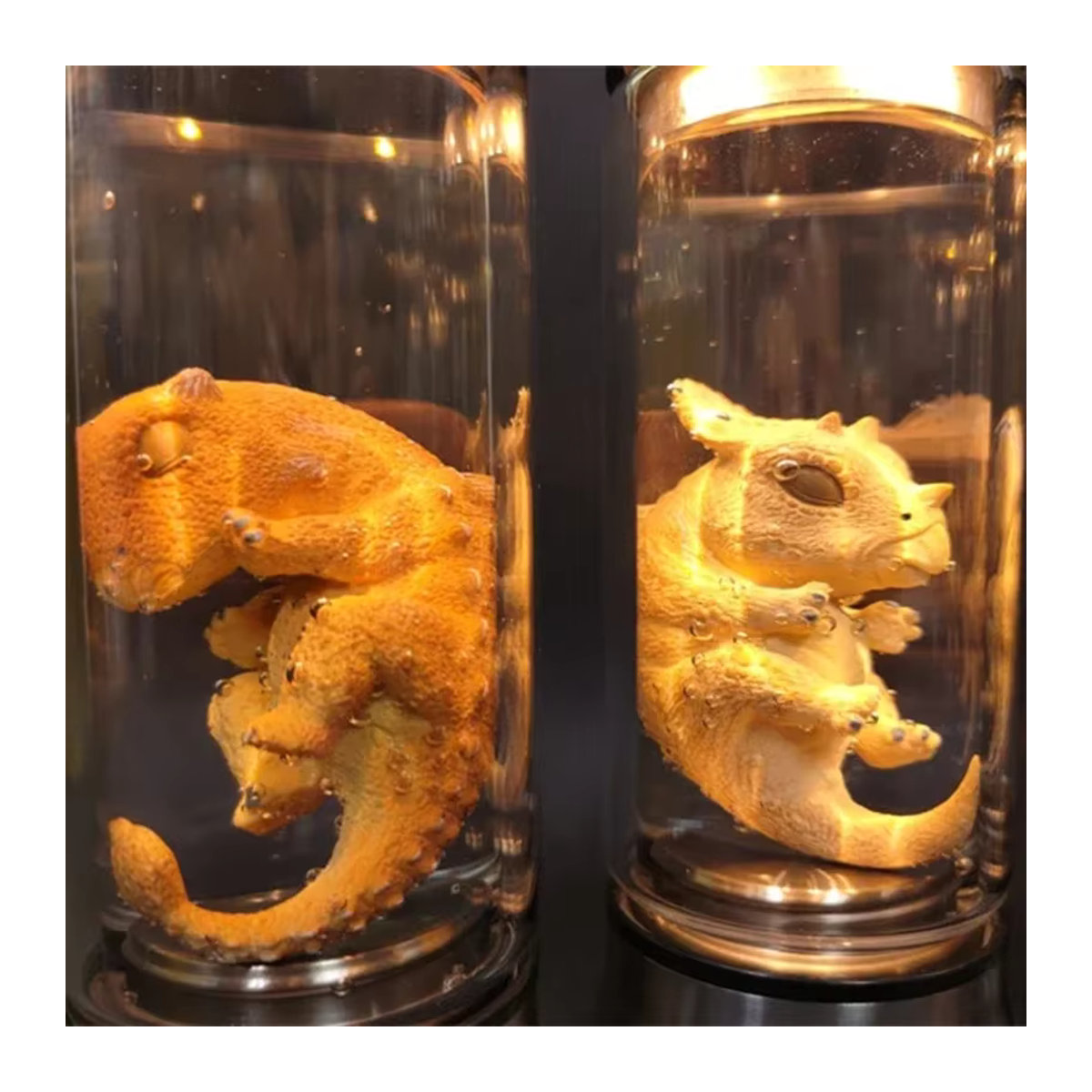 Jurassic Park Velociraptor Dinosaurier Embryo Glasgefäß in Mehrfarbig mit Glow-Effekt - Bild 3