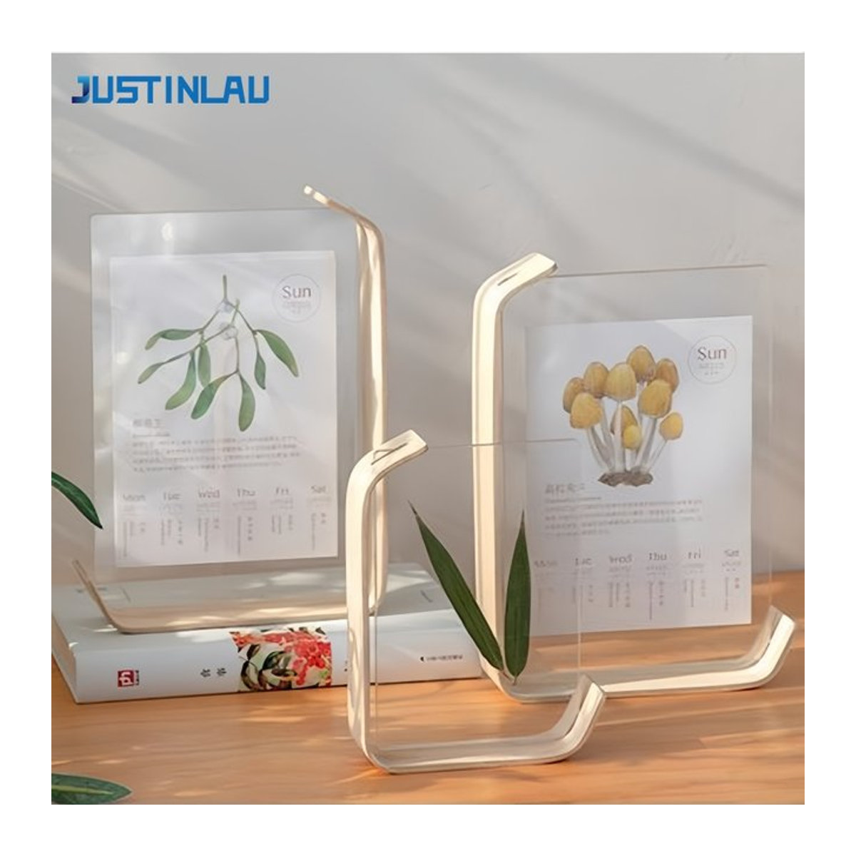 JUSTINLAU Acryl-Holz-Bilderrahmen für Pflanzenproben und Kalender, transparenter DIY-Displayrahmen aus Holz und Acryl, beige, B/H: 15 x 10 cm - Bild 1