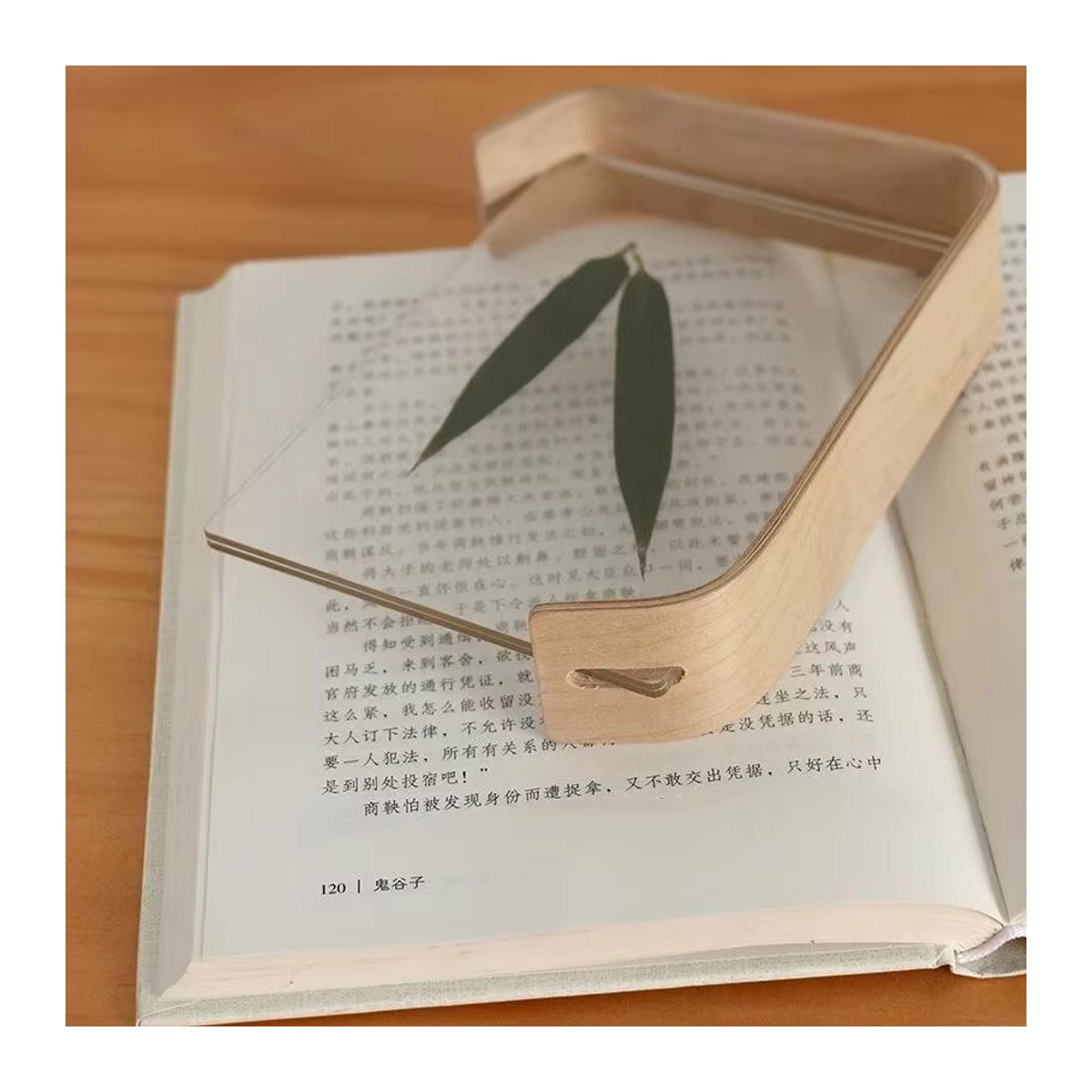 JUSTINLAU Acryl-Holz-Bilderrahmen für Pflanzenproben und Kalender, transparenter DIY-Displayrahmen aus Holz und Acryl, beige, B/H: 15 x 10 cm - Bild 3