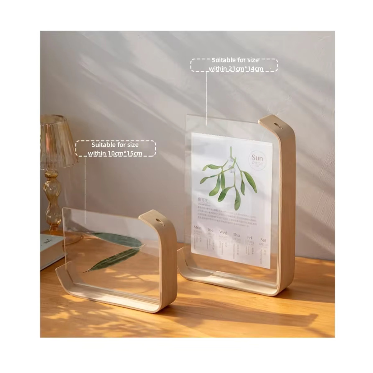 JUSTINLAU Acryl-Holz-Bilderrahmen für Pflanzenproben und Kalender, transparenter DIY-Displayrahmen aus Holz und Acryl, beige, B/H: 15 x 10 cm - Bild 4