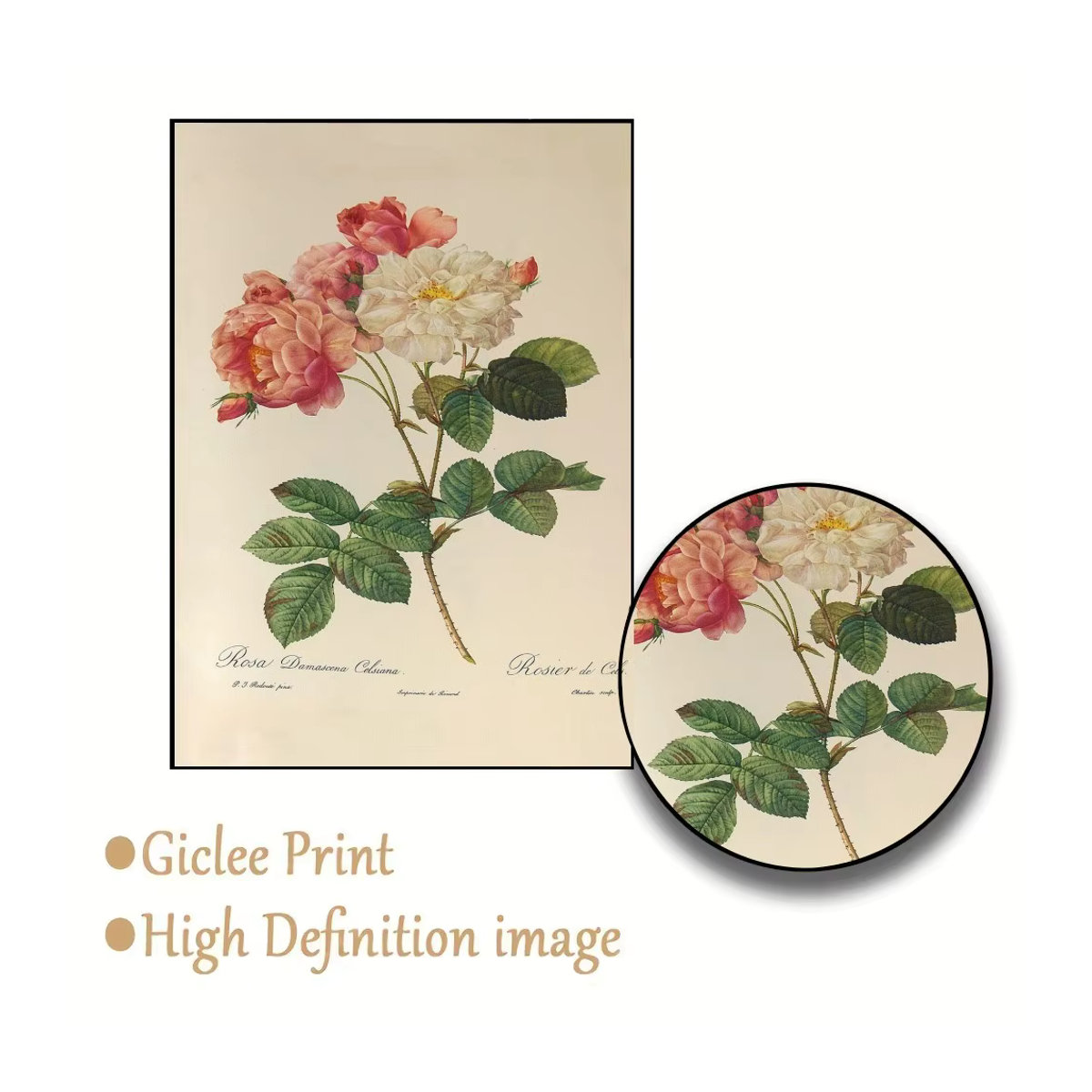 Kayou Vintage Rose Blumen Wandaufkleber aus wasserfestem Papier, Mehrfarbig, Rechteckig - Bild 5