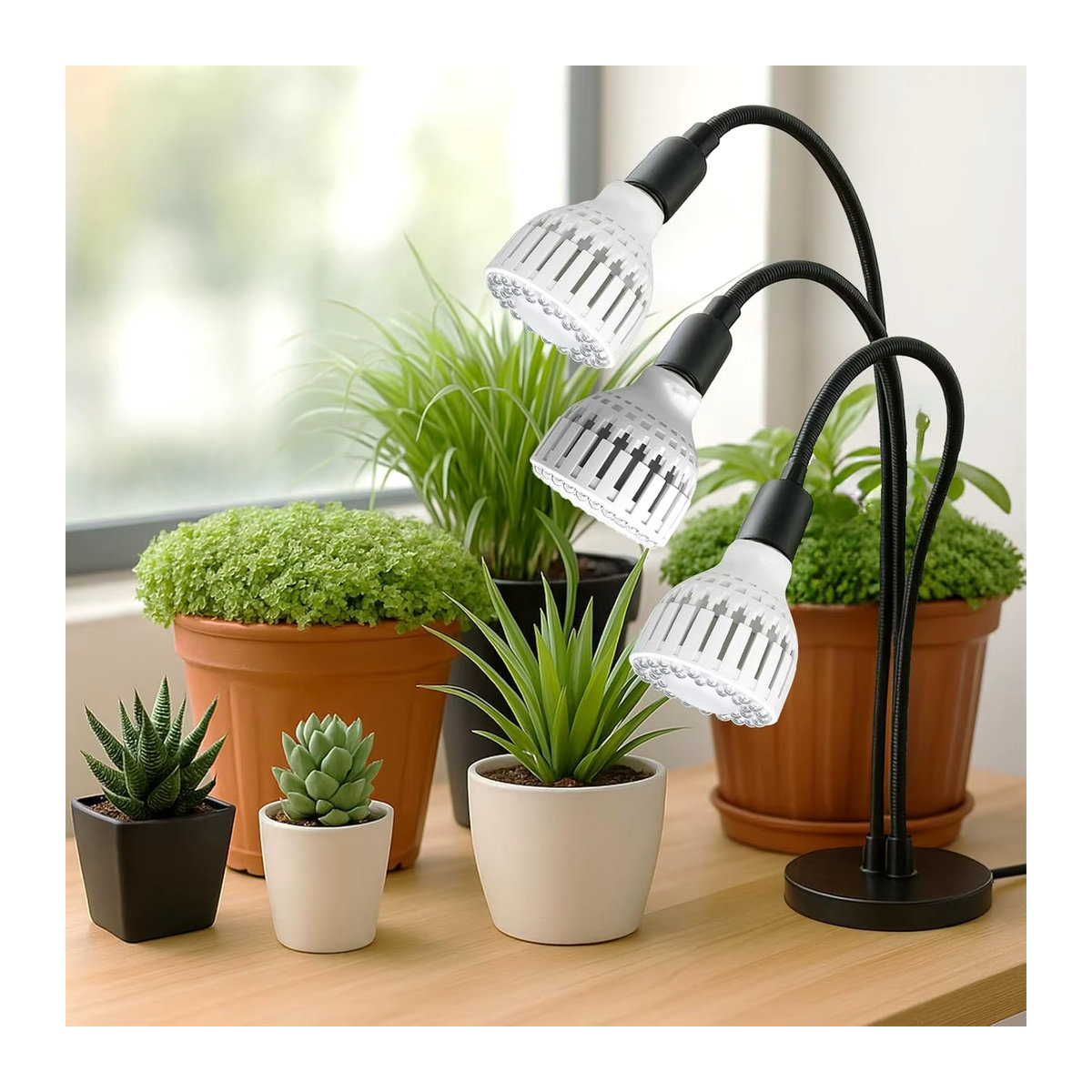KEBINCPLED LED Pflanzenlampe 12W E27 Vollspektrum Wachstumslicht für Indoor und Garten in minimalistischem Design - Bild 3