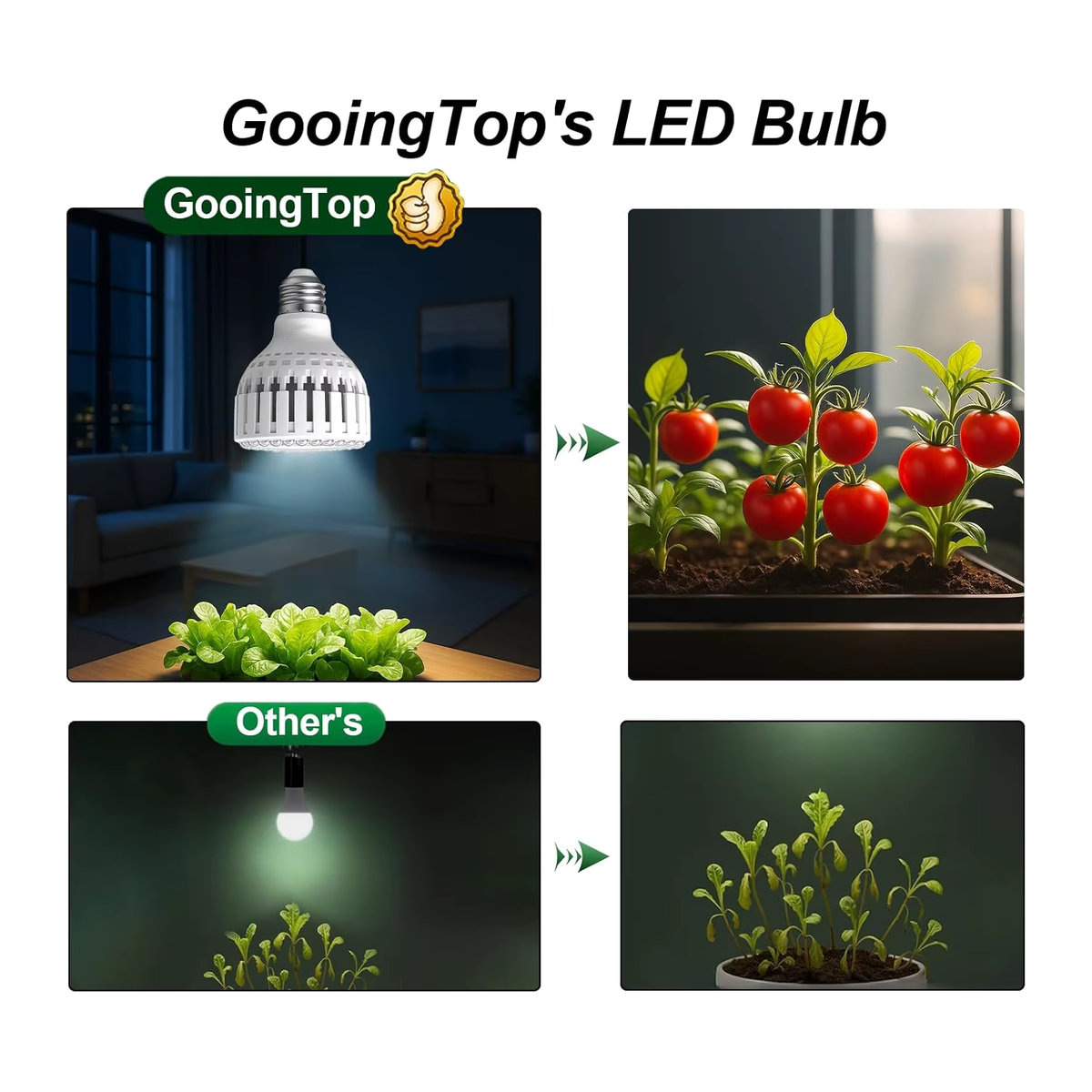 KEBINCPLED LED Pflanzenlampe 12W E27 Vollspektrum Wachstumslicht für Indoor und Garten in minimalistischem Design - Bild 4