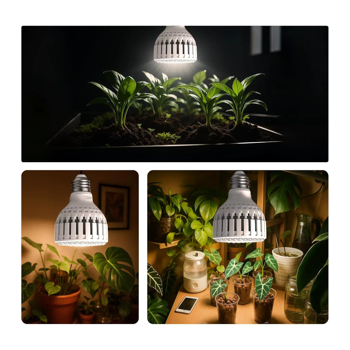 KEBINCPLED LED Pflanzenlampe 12W E27 Vollspektrum Wachstumslicht für Indoor und Garten in minimalistischem Design - Bild 5