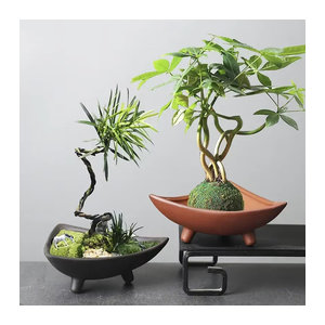 Keramischer Blumentopf in Lila und Rot für deine Indoor-Pflanzen und Mikro-Landschaften im minimalistischen Design