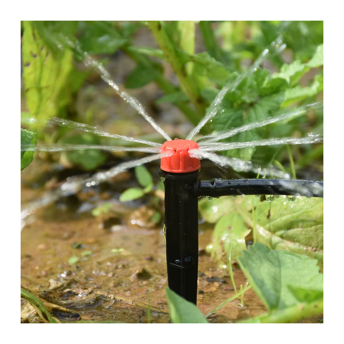 KESLA Automatisches Tropfbewässerungssystem DIY Micro Drip Bewässerungsset mit verstellbaren Sprinklern in Multicolor - Bild 4