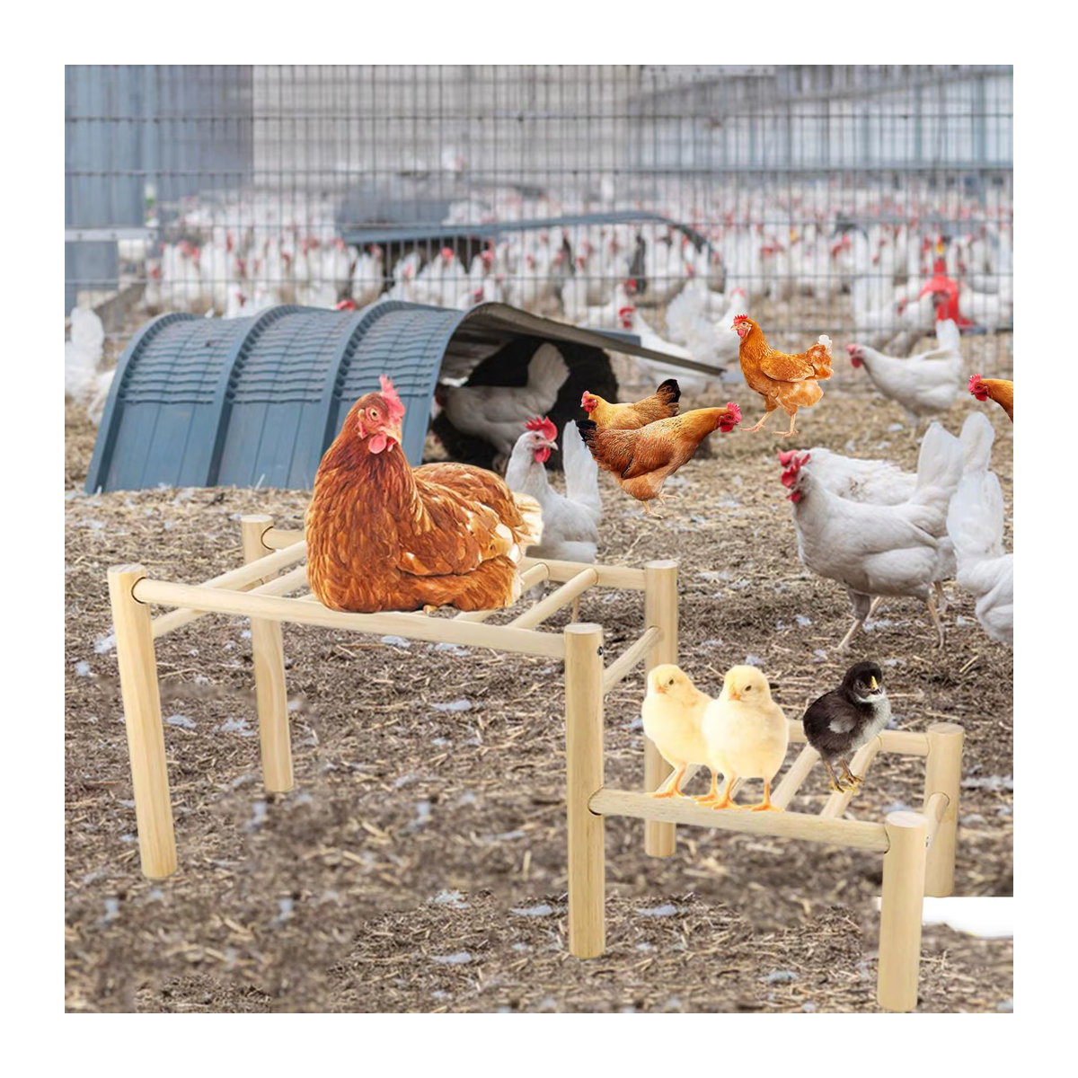 Kesoto Outdoor-Hühnerstall aus Holz mit Sitzstange, Leiterständer, Trainingsplattform und Spielbereich - Bild 1