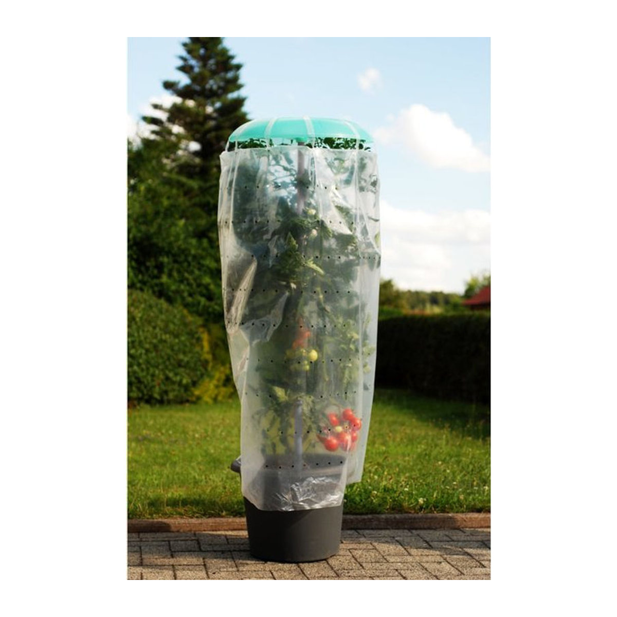 KHW Pflanzhilfe Tomatenhut 2er Set mit Schutzfolie aus Kunststoff - Bild 1