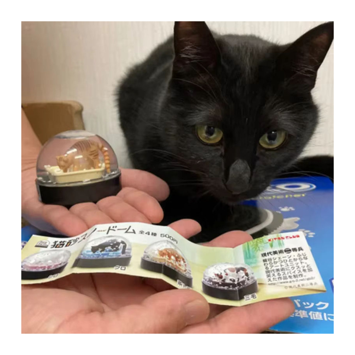 Kitan Japan Gashapon Schneekugel mit niedlicher Katzenfigur als Anime Dekorationsfigur für Kinder in Mehrfarbig - Bild 3