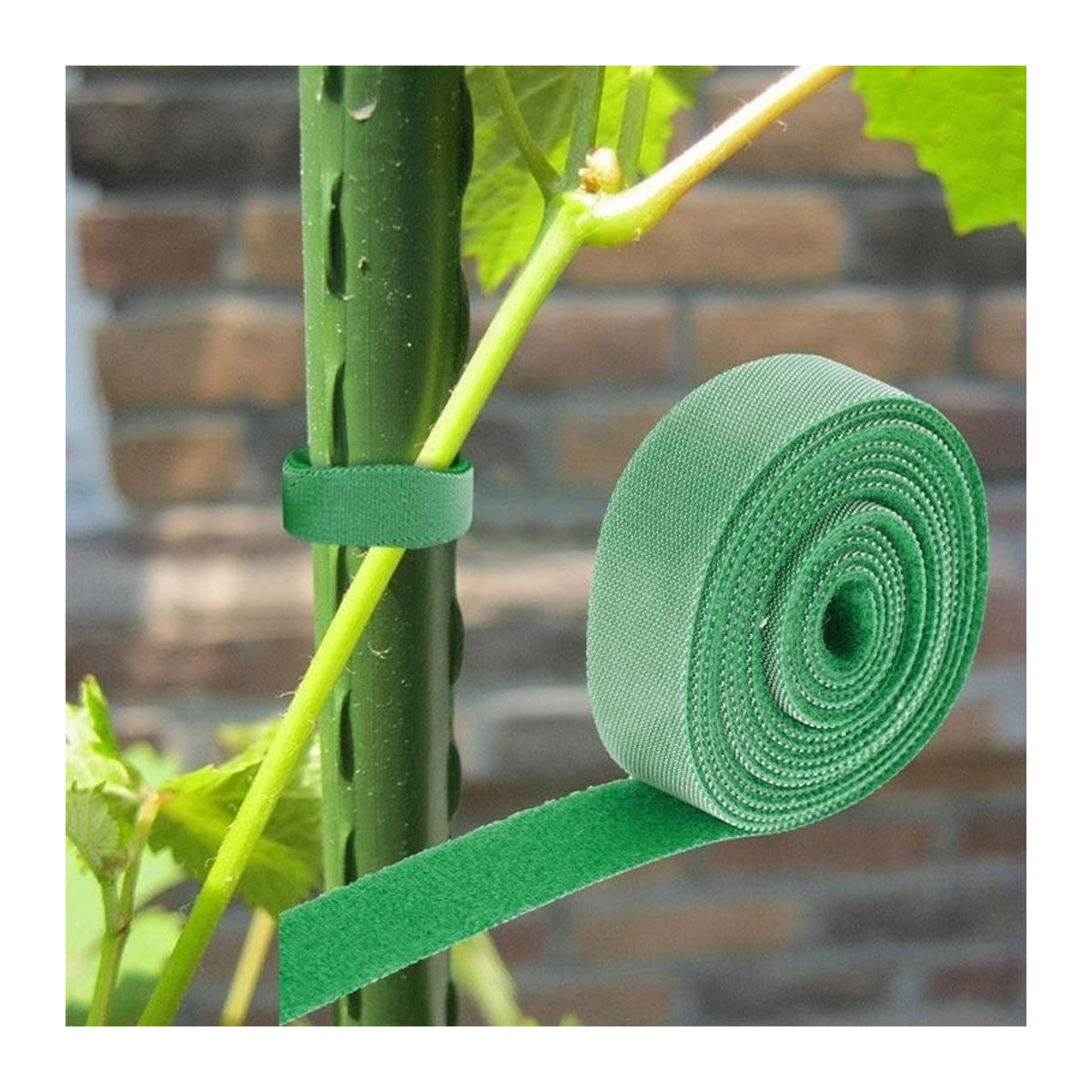 Kletterpflanzen-Bindeklettband von HaiKouLiJinHaiKeJiYouXianGongSi in Grün, 1 Rolle selbstklebende Klettbinder zur Pflanzenfixierung im Garten - Bild 3