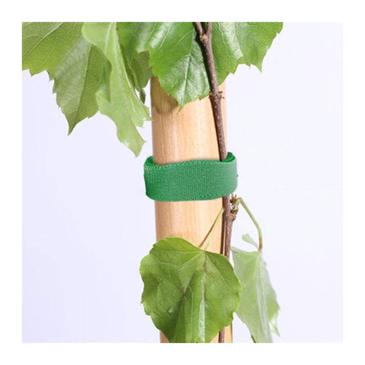 Kletterpflanzen-Bindeklettband von HaiKouLiJinHaiKeJiYouXianGongSi in Grün, 1 Rolle selbstklebende Klettbinder zur Pflanzenfixierung im Garten - Bild 8
