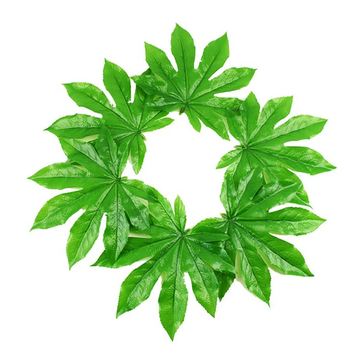 Kmitang Künstliche Fatsia-Blätter in Grün, Tropische Kunststoff-Monstera-Blätter für Dekoration - Bild 1