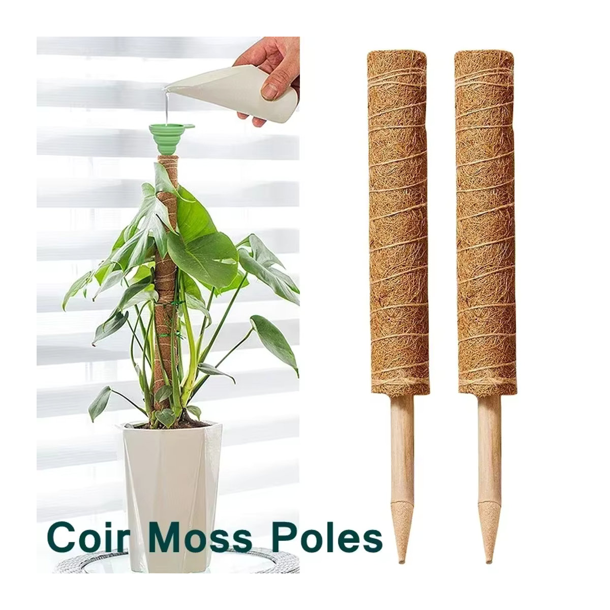Kokospalmen-Stick aus Bambus mit Schildkrötenrücken-Design als stabiler Stützstab für Pflanzen, Kletterreben und Blumen mit Seidenmoos - Bild 3