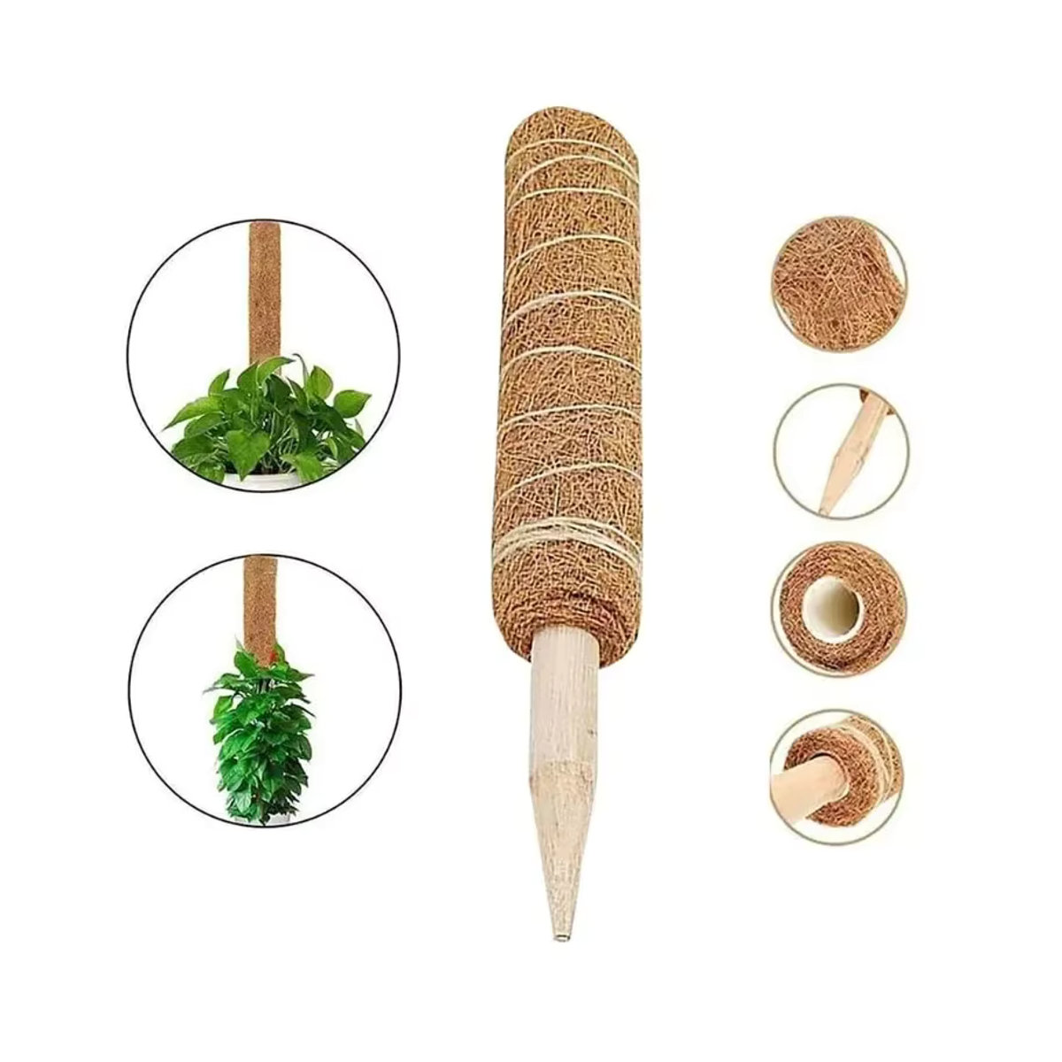 Kokospalmen-Stick aus Bambus mit Schildkrötenrücken-Design als stabiler Stützstab für Pflanzen, Kletterreben und Blumen mit Seidenmoos - Bild 4