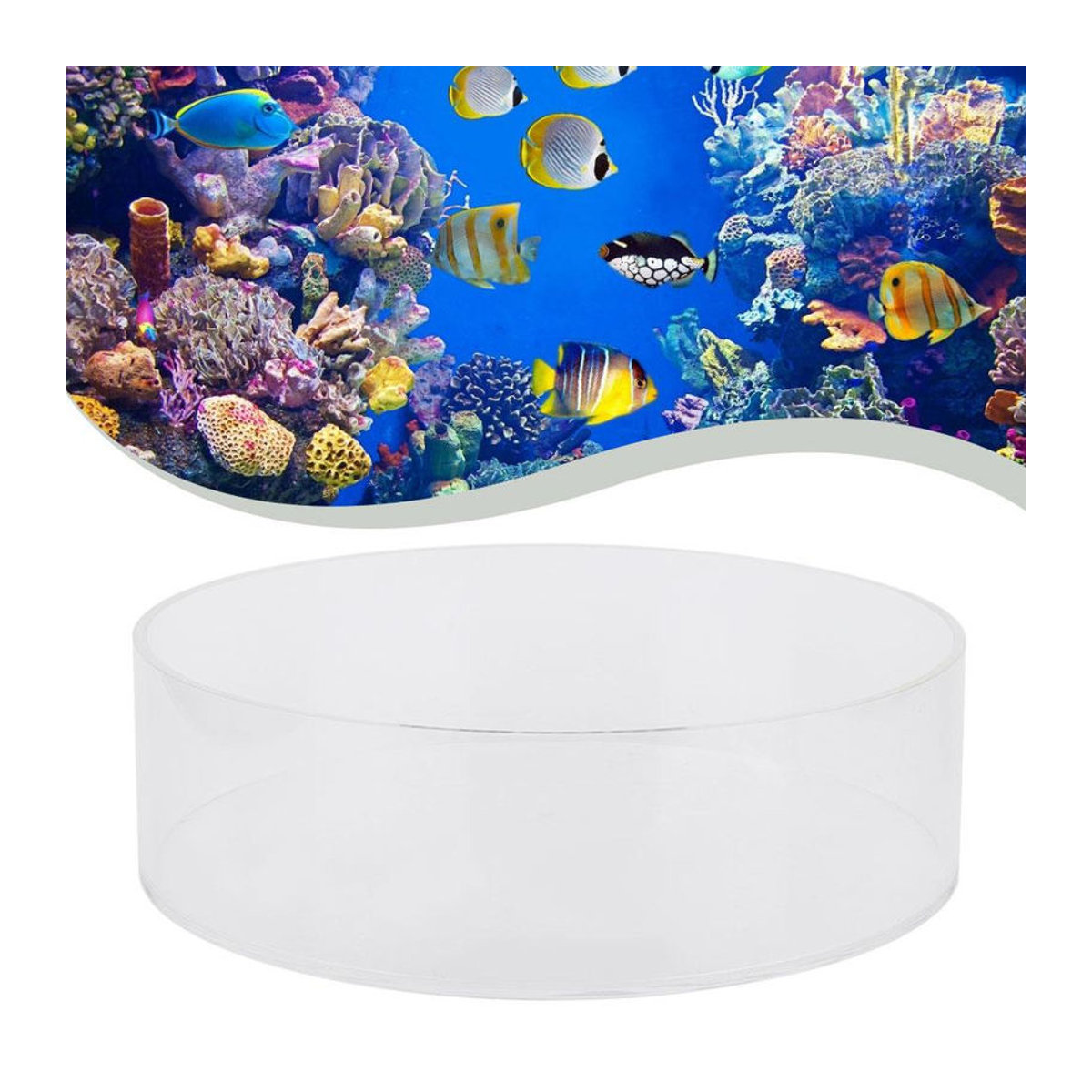 KONNWEI Aquarium Acryl Zylinder-Lupe für Korallenbeobachtung und Fischfotografie, transparent, Durchmesser: 250 mm - Bild 2