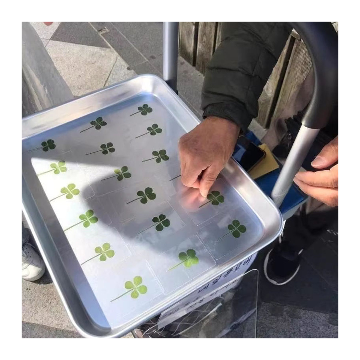 KOQZM Lucky Clover Postkarten aus natürlichem Gras in Grün, transparente Wunschkarten als Lesezeichen und Dekoration - Bild 3