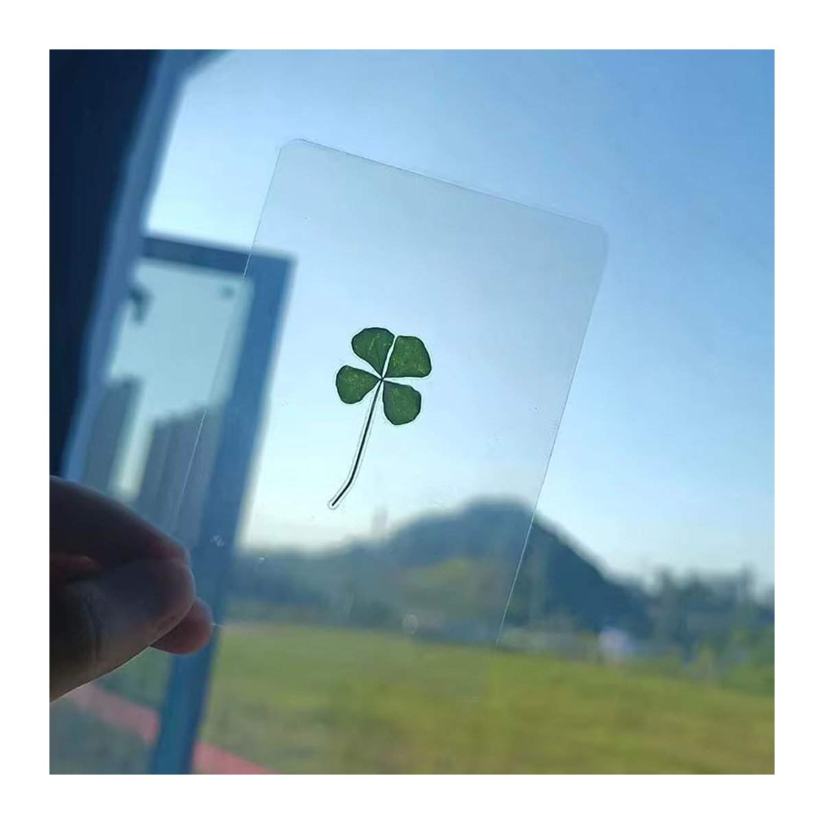 KOQZM Lucky Clover Postkarten aus natürlichem Gras in Grün, transparente Wunschkarten als Lesezeichen und Dekoration - Bild 4