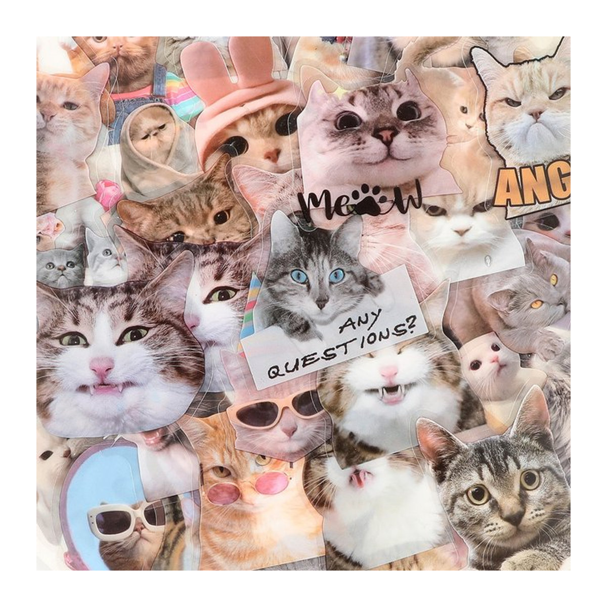 Kpustyle Cartoon Katze Meme Aufkleber Set, transparent und mehrfarbig, 10 Stück - Bild 1