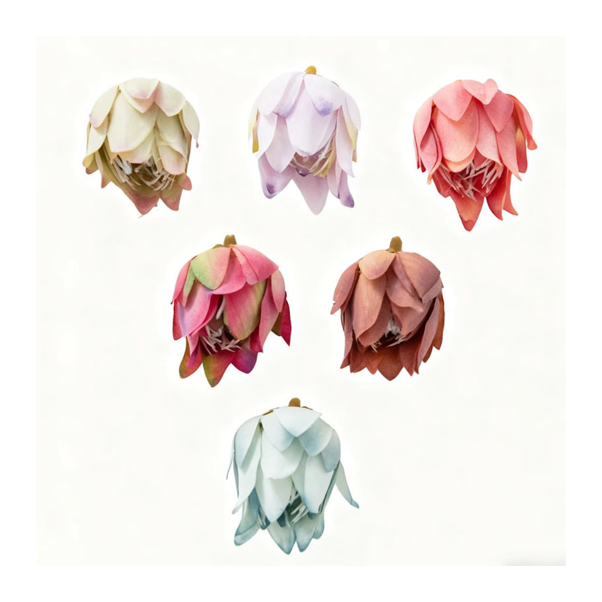 Künstliche Ananas-Blüten aus Seide in Mehrfarbig für Tischdekoration, Hochzeiten und Wanddekoration - Bild 4