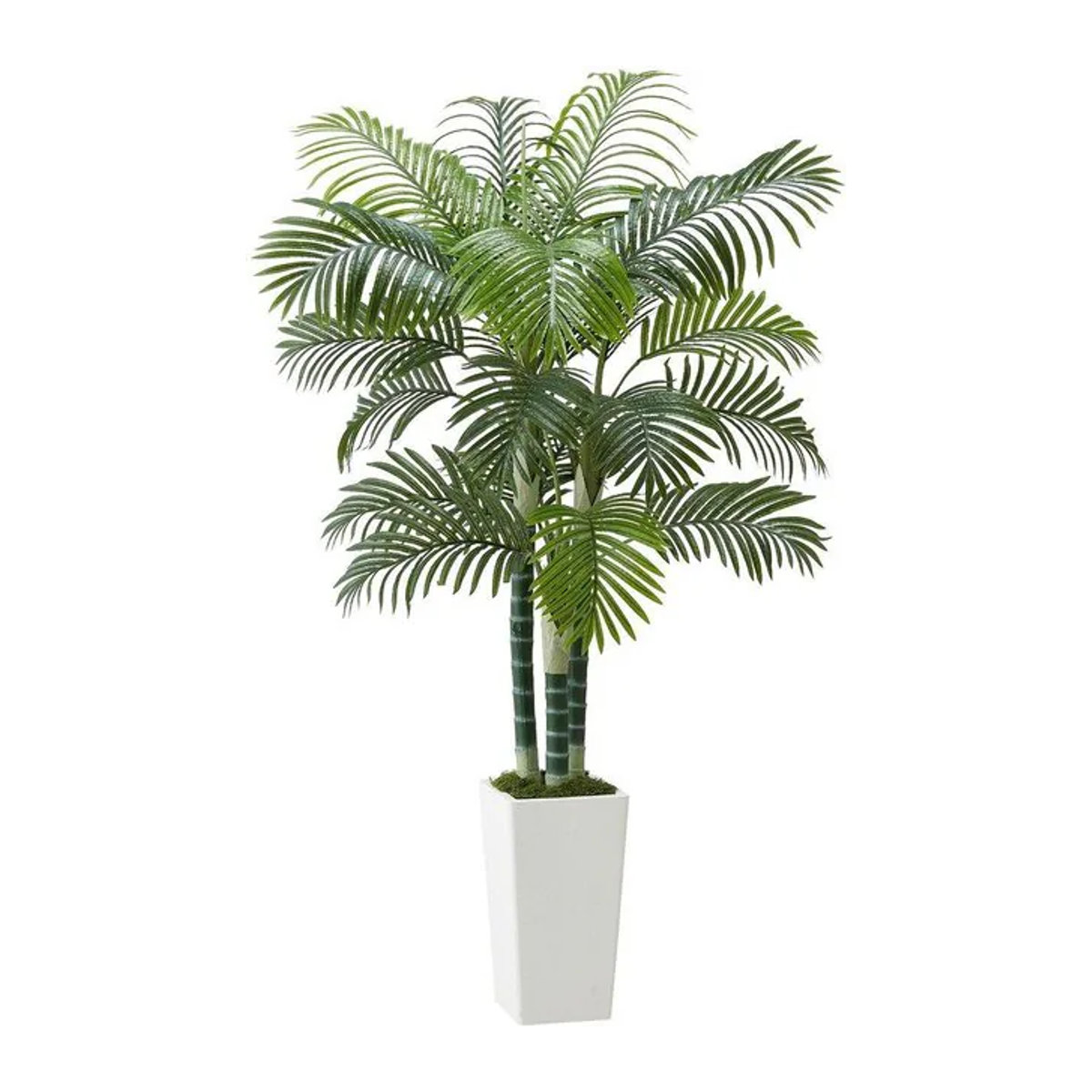 Künstliche Areca-Palme von Buying Solutions, MB in Grün mit weißem Übertopf, Höhe: 182,9 cm, Breite: 104 cm, Tiefe: 104 cm - Bild 1
