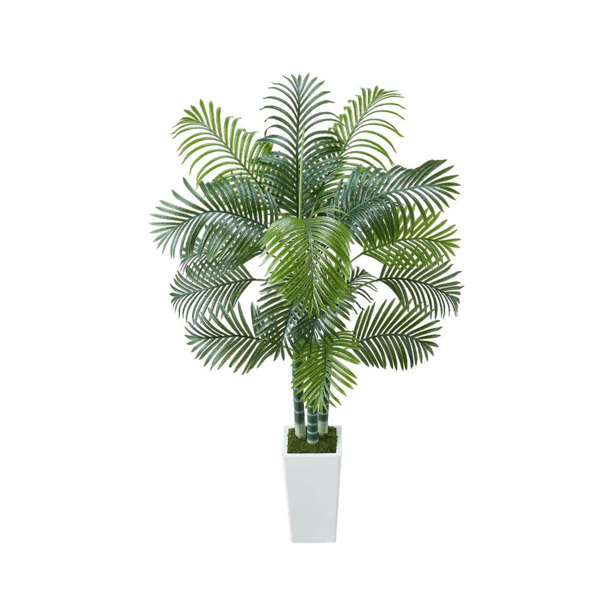 Künstliche Areca-Palme von Buying Solutions, MB in Grün mit weißem Übertopf, Höhe: 182,9 cm, Breite: 104 cm, Tiefe: 104 cm - Bild 3