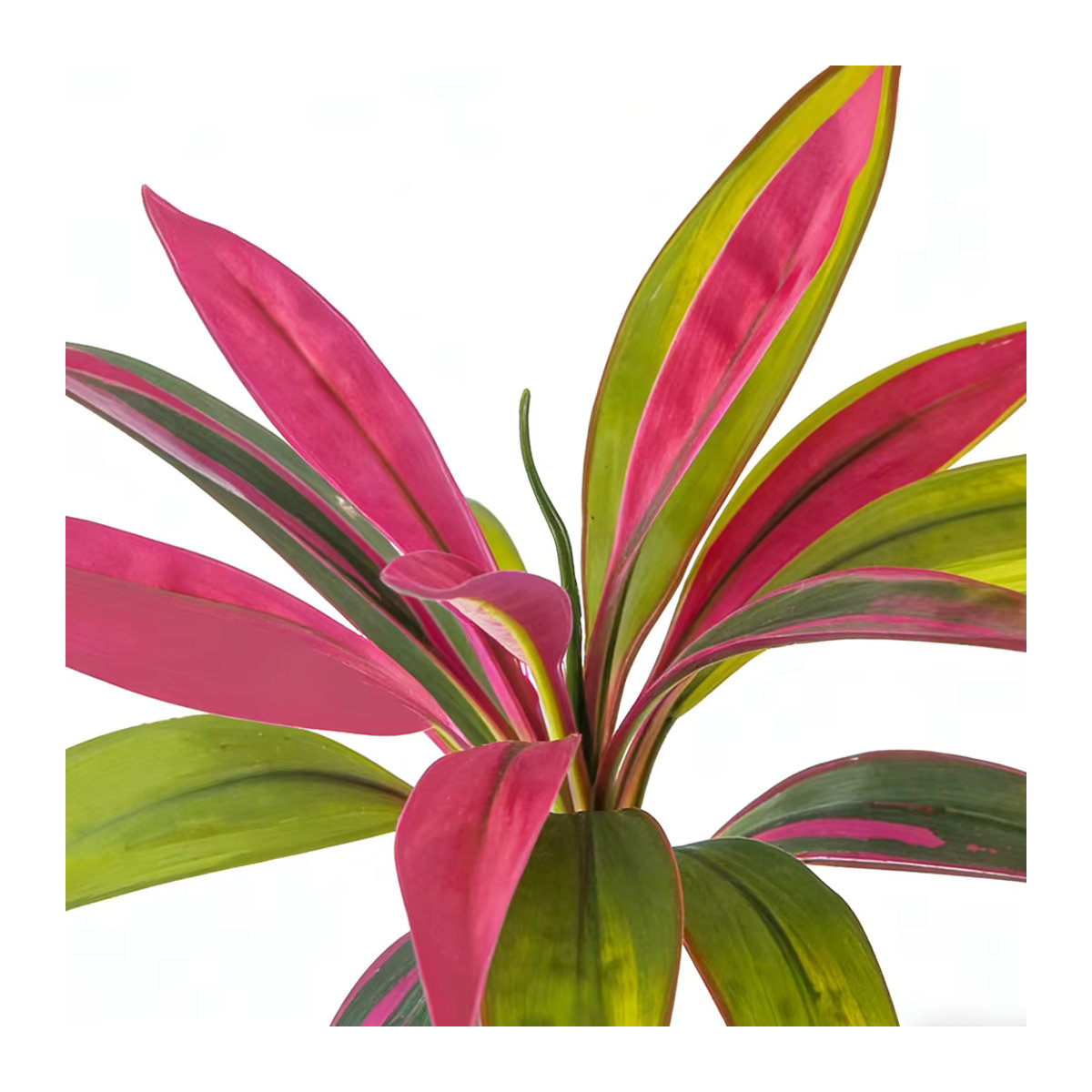 Künstliche Dracaena-Pflanze Kmitang mit 17 Blättern in Pink und Mehrfarbig, Tropische Palme als Kunstpflanze für Haus- und Gartendekoration, Höhe: 45 cm - Bild 3