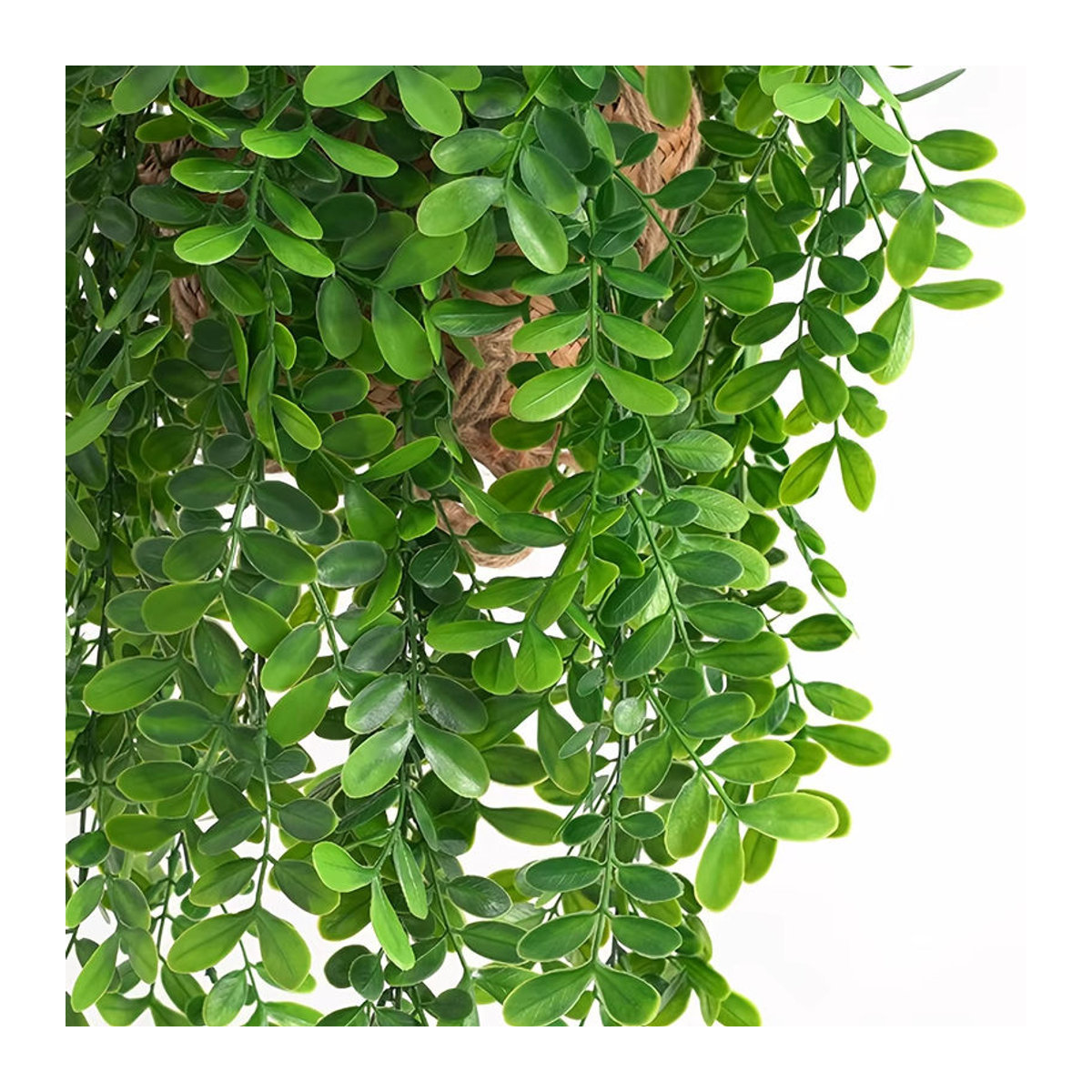 Künstliche Eukalyptusrebe von smr in Grün als hängende Pflanze zur Dekoration für dein Zuhause oder den Garten - Bild 4