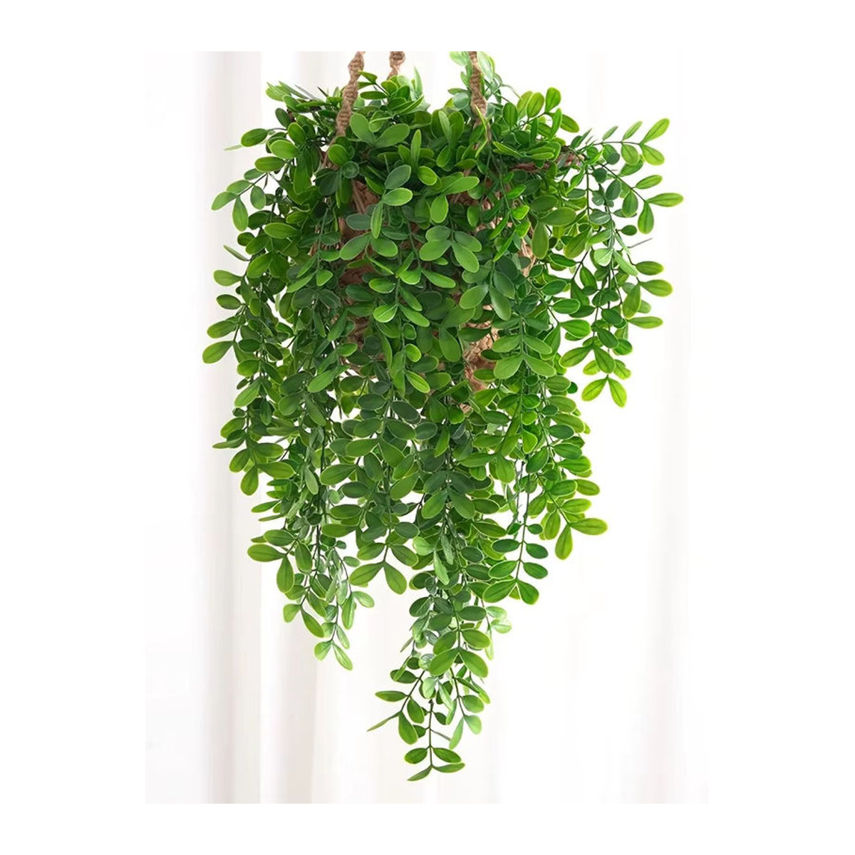 Künstliche Eukalyptusrebe von smr in Grün als hängende Pflanze zur Dekoration für dein Zuhause oder den Garten - Bild 5