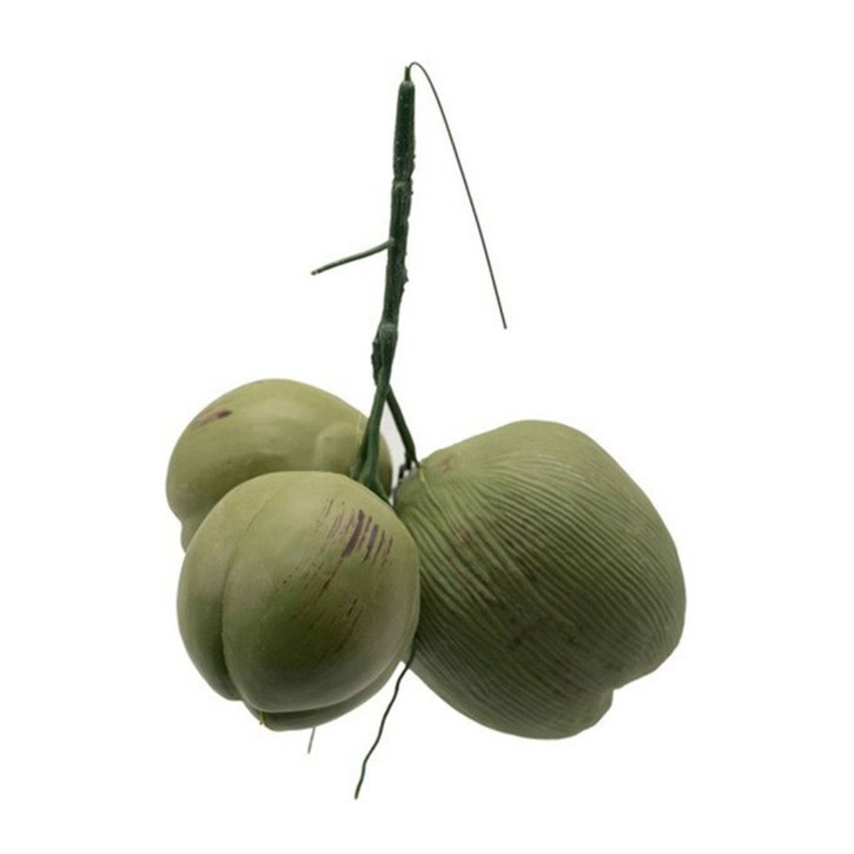 Künstliche Kokosnuss als dekoratives Obst-Ornament in Grün für Landhaus-Dekoration und Kinderunterricht - Bild 1