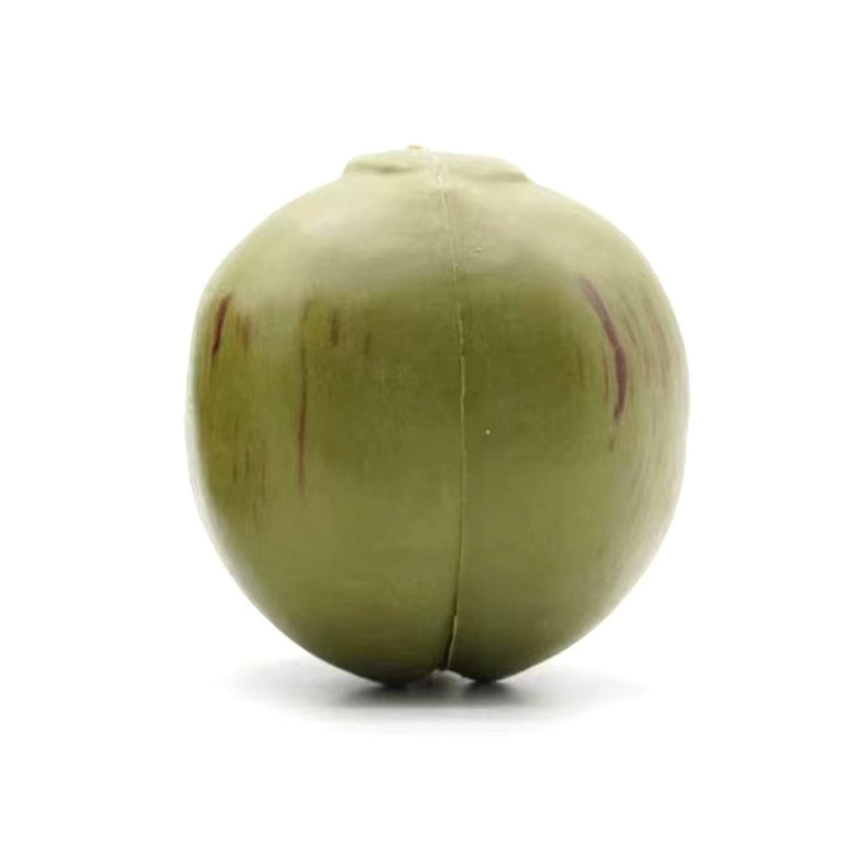 Künstliche Kokosnuss als dekoratives Obst-Ornament in Grün für Landhaus-Dekoration und Kinderunterricht - Bild 2