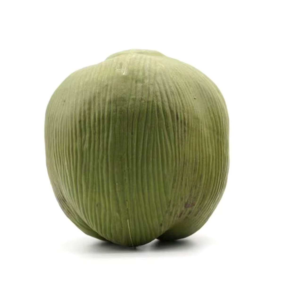 Künstliche Kokosnuss als dekoratives Obst-Ornament in Grün für Landhaus-Dekoration und Kinderunterricht - Bild 3