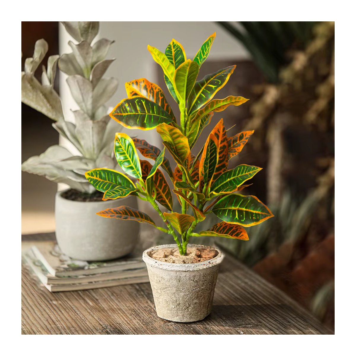 Künstliche Pflanze Kmitang aus Kunststoff, mehrfarbiger Ficusbaum und tropische Codiaeum-Zweige zur Dekoration von Zuhause und Büro, Höhe: 24-41 cm - Bild 2