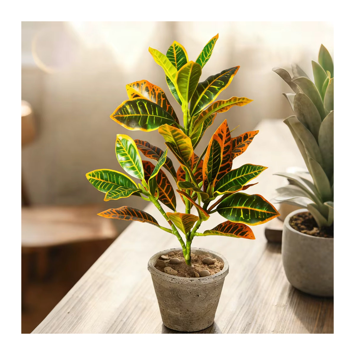 Künstliche Pflanze Kmitang aus Kunststoff, mehrfarbiger Ficusbaum und tropische Codiaeum-Zweige zur Dekoration von Zuhause und Büro, Höhe: 24-41 cm - Bild 3