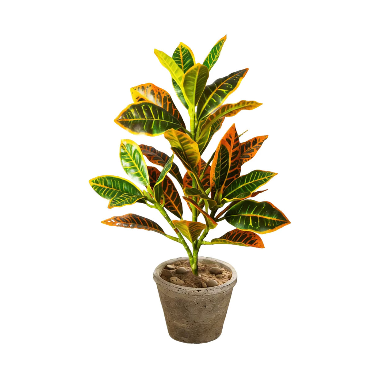 Künstliche Pflanze Kmitang aus Kunststoff, mehrfarbiger Ficusbaum und tropische Codiaeum-Zweige zur Dekoration von Zuhause und Büro, Höhe: 24-41 cm - Bild 6