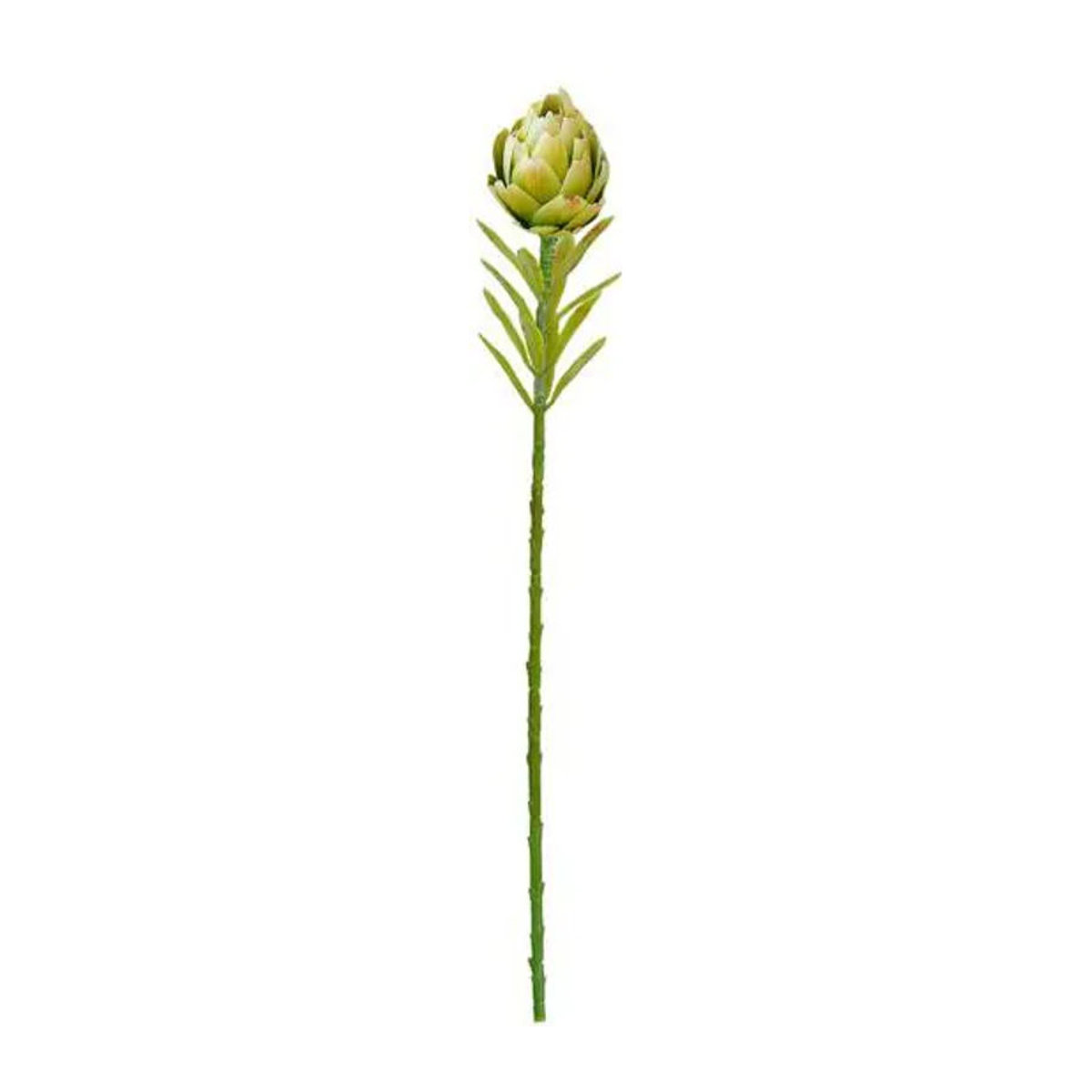 Künstliche Protea Cynaroides in Weiß und Grün als realistisches Blumengesteck für deine Dekoration im Innen- und Außenbereich - Bild 1