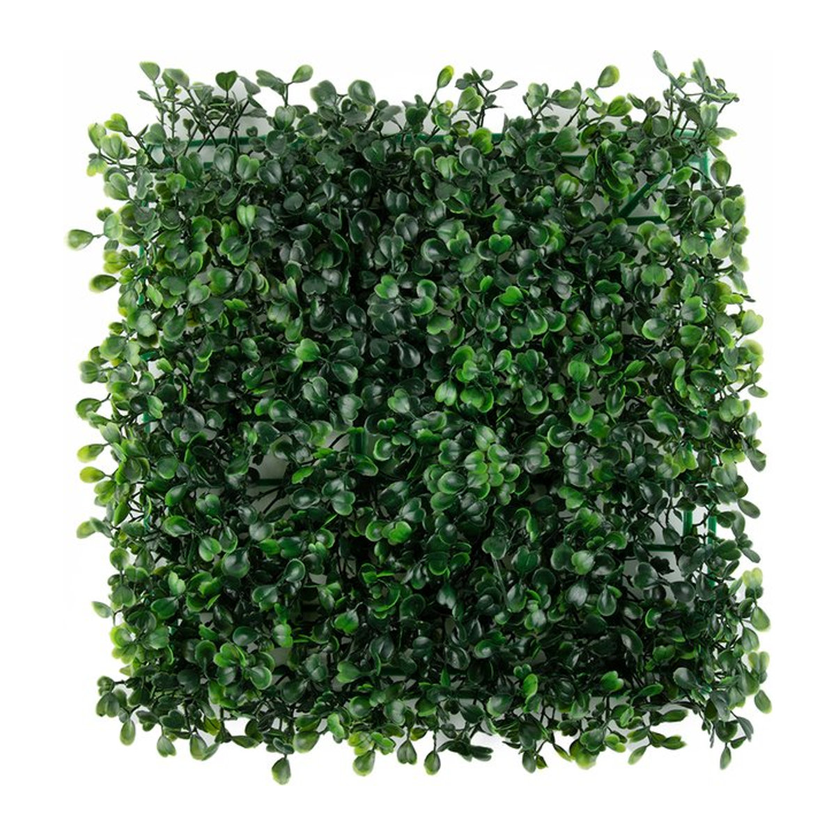 Künstliche Rasenpflanzenwand aus Kunststoff in Grün, quadratische Heckenmatte für die Wandmontage, B/H: 25 x 25 cm - Bild 1