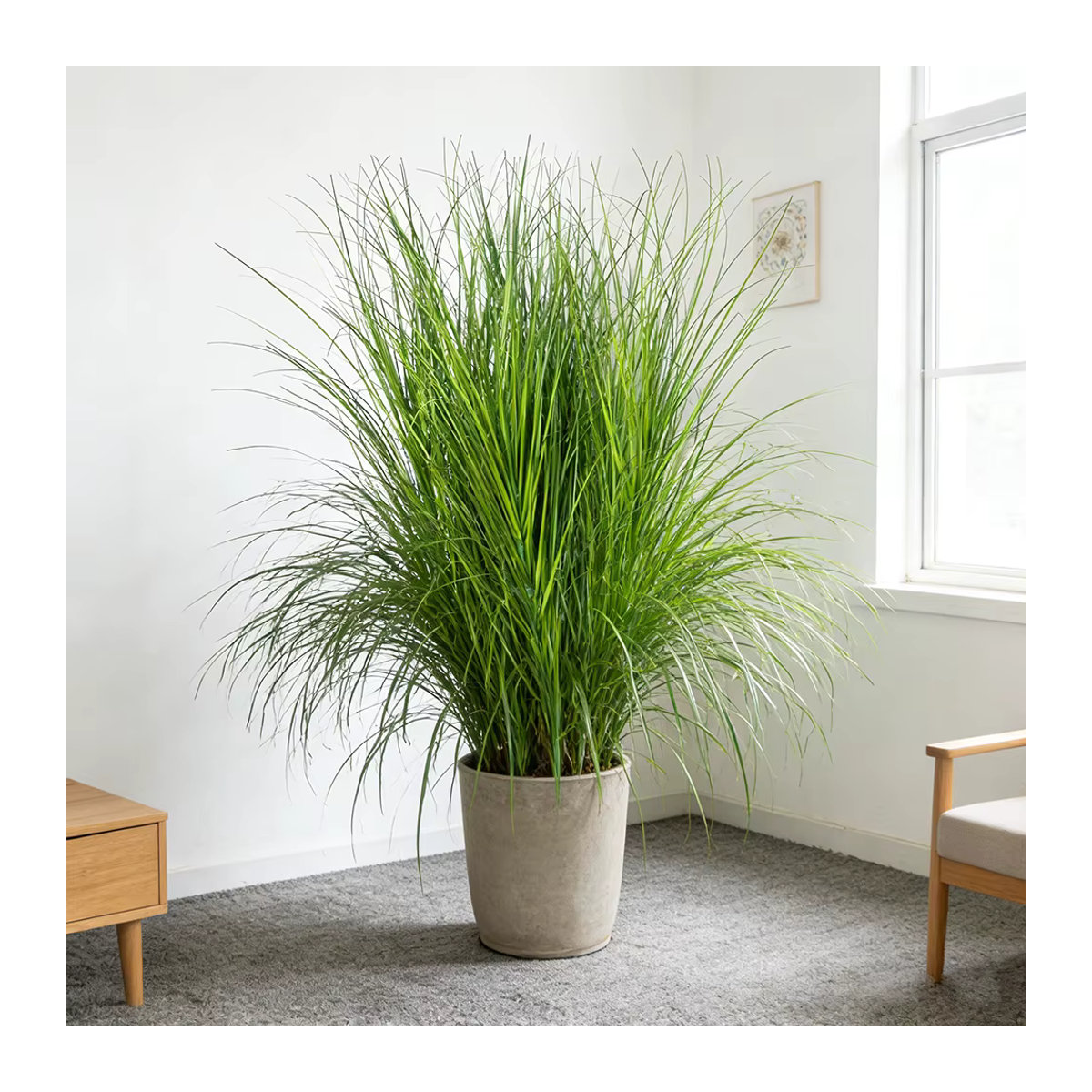Künstliche Schilfpflanzen von Kmitang in Grün, tropisches Zwiebelgras aus Kunststoff für die Dekoration von Heim, Garten und Büro, Höhe: 50 cm - Bild 2