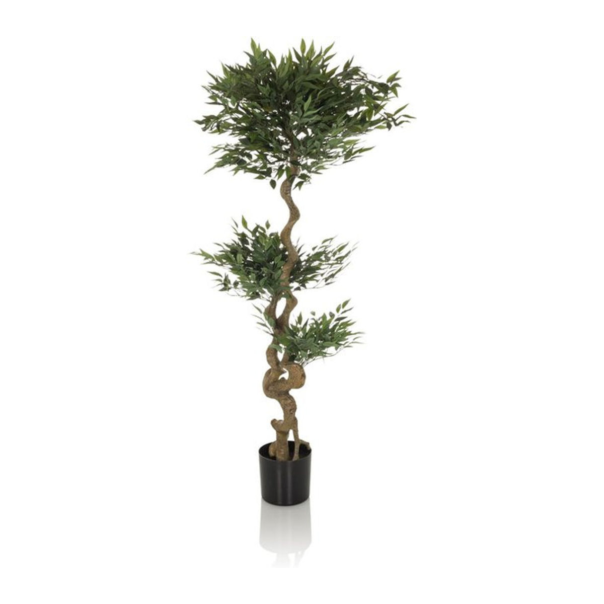 Kunstpflanze Acacia von hjh OFFICE in Grün, Höhe: 155 cm - Bild 1