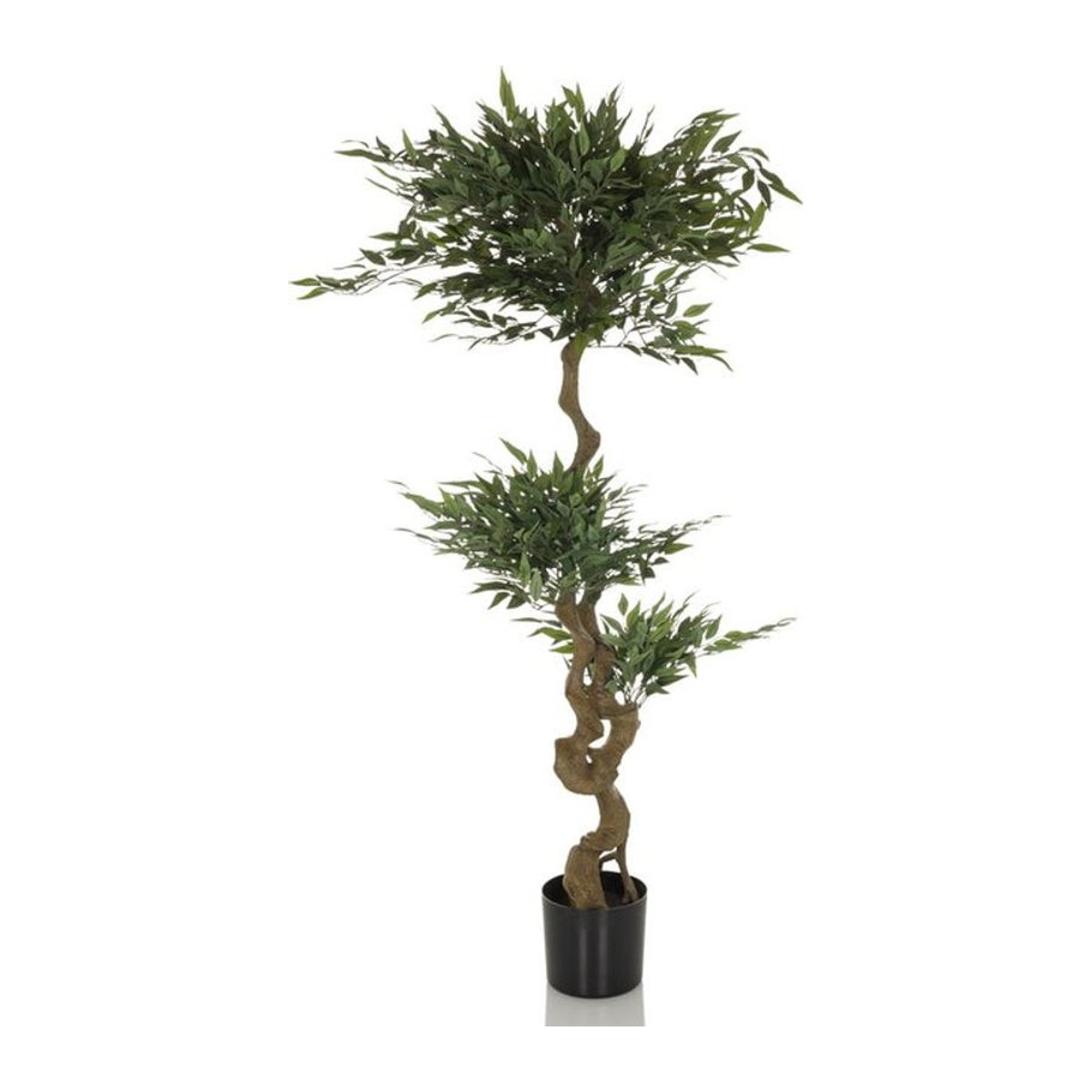 Kunstpflanze Acacia von hjh OFFICE in Grün, Höhe: 155 cm - Bild 2