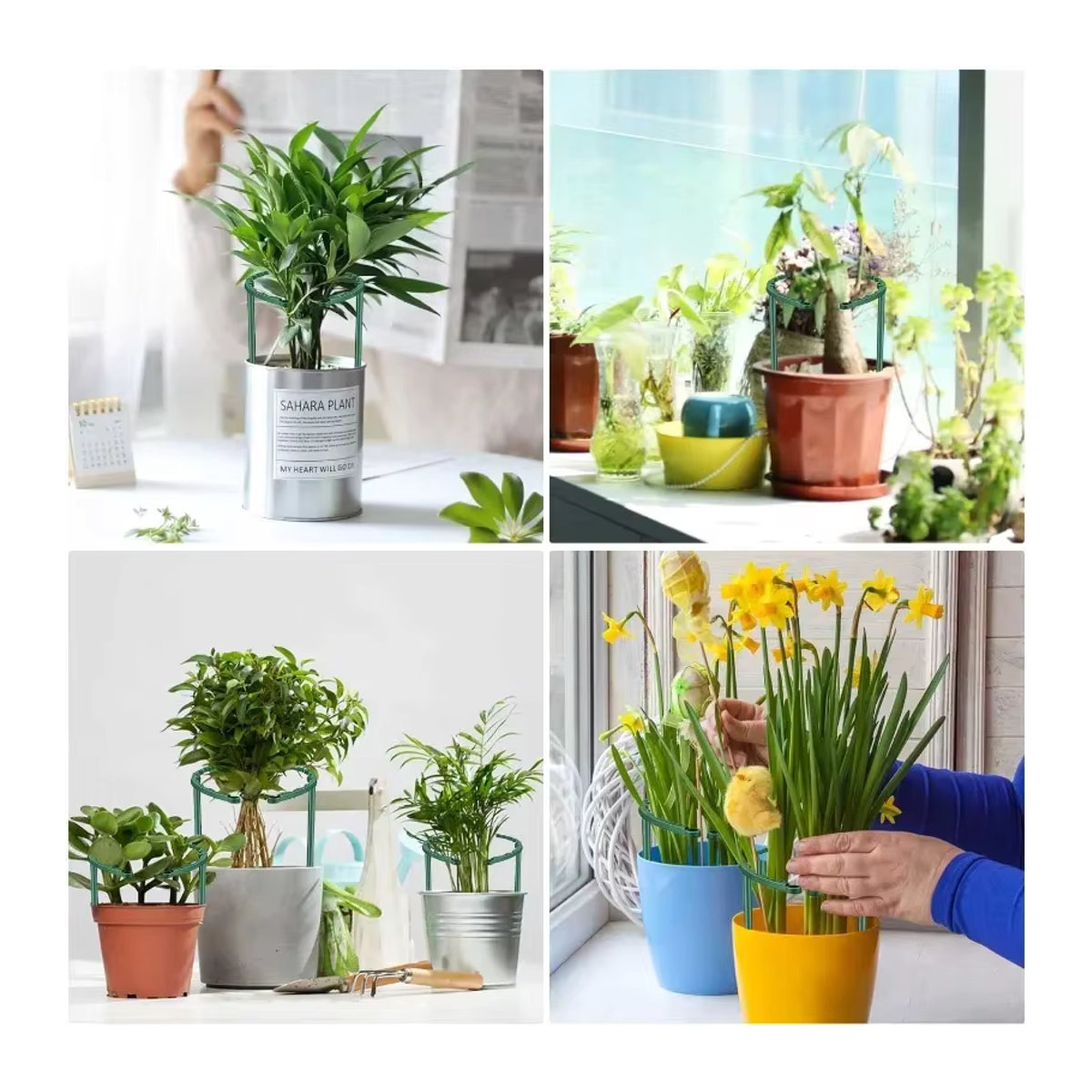 Kunststoff-Pflanzenstützpfahlständer zur Befestigung von Pflanzenstützpflählen für Blumen und Gewächshäuser - Bild 4