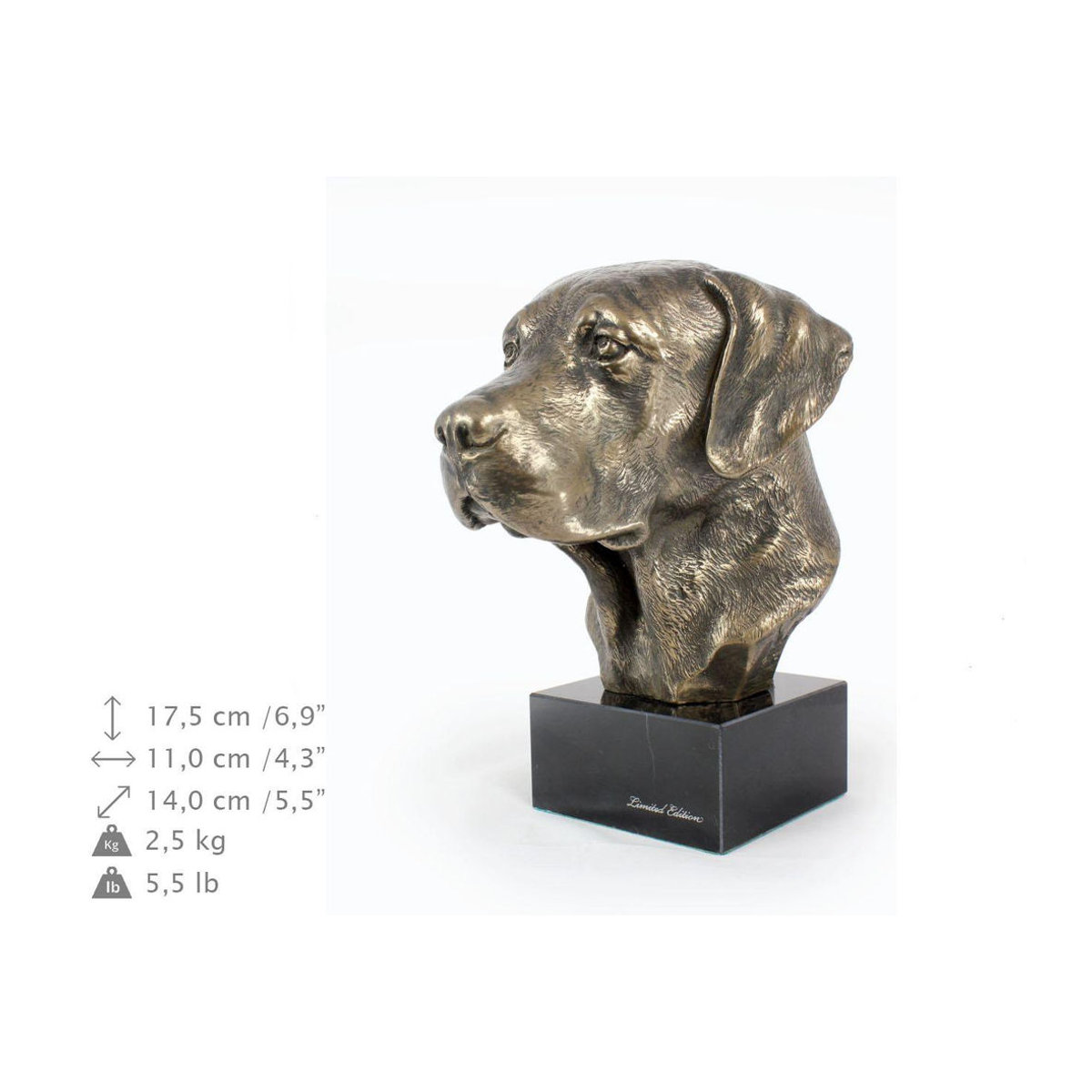 Labrador Retriever Hundestatue Art-Dog als Büste auf Steinsockel in Braun - Bild 3