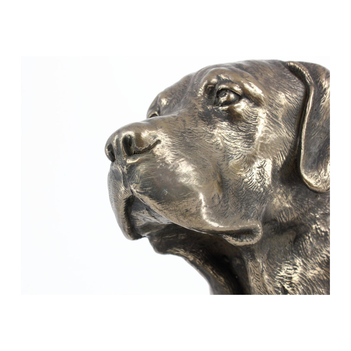Labrador Retriever Hundestatue Art-Dog als Büste auf Steinsockel in Braun - Bild 5