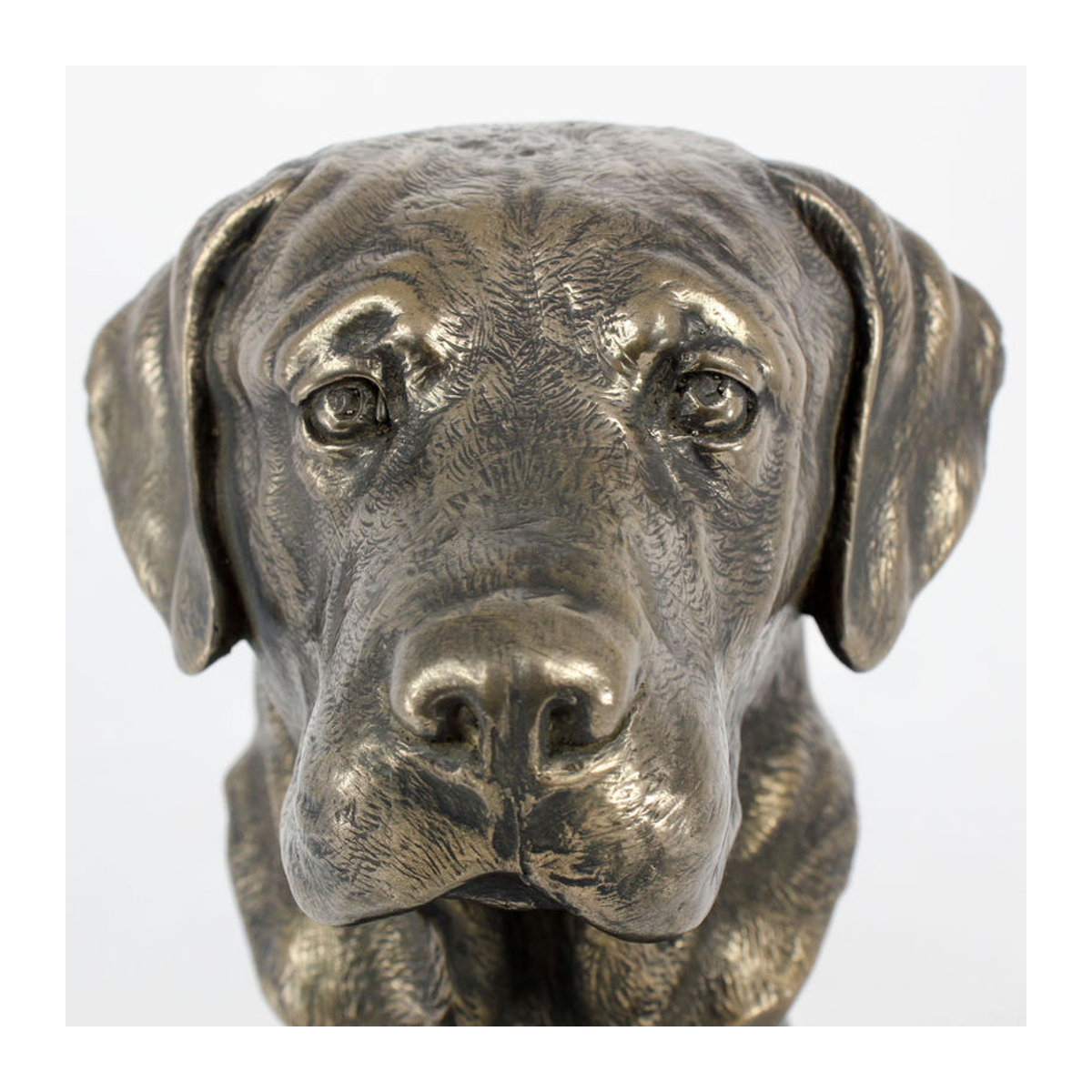 Labrador Retriever Hundestatue Art-Dog als Büste auf Steinsockel in Braun - Bild 7